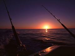 Fishing Wallpapers